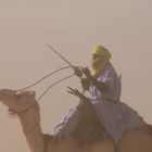 Kamelrennen in Ghat, Libyen