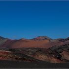 Kamelritt auf Lanzarote