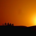 Kamelritt im Erg Chebbi bei Sonnenuntergang