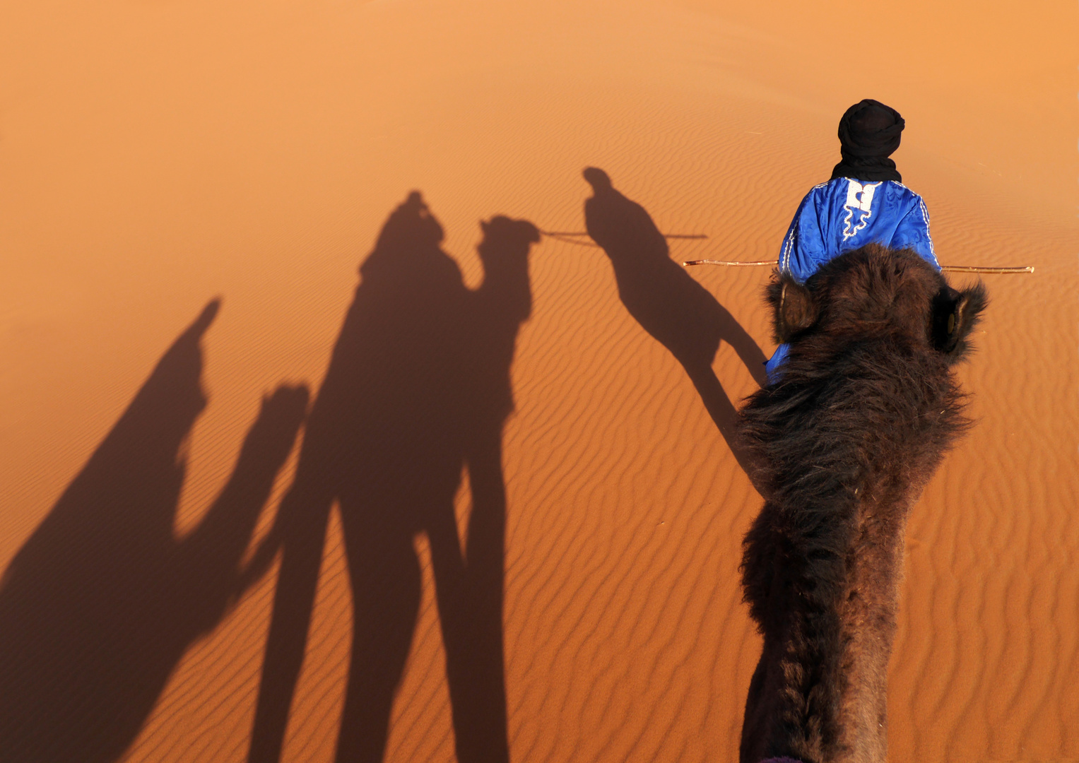 Kamelritt zum Sonnenuntergang auf die Dünen von Erg Chebbi