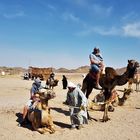 Kamelsafari - Ägypten 2017