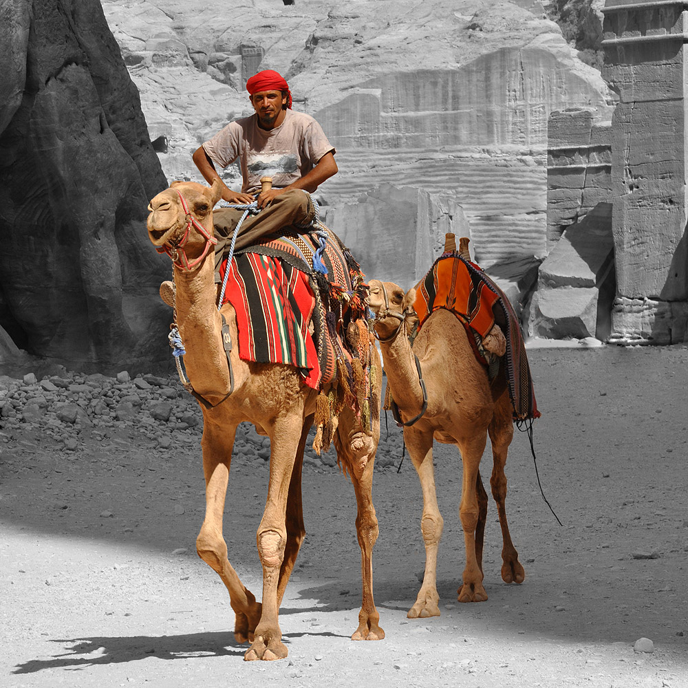 Kameltaxi in Petra