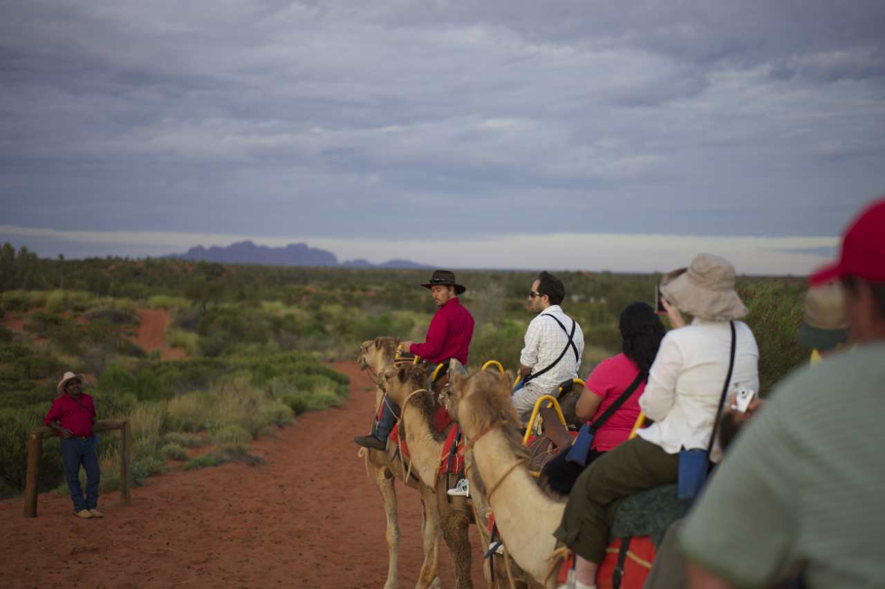 Kameltour zum Sonnenaufgang mit Blick auf Kata Tjuta