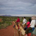 Kameltour zum Sonnenaufgang mit Blick auf Kata Tjuta