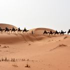 Kameltrekking im Erg Chebbi