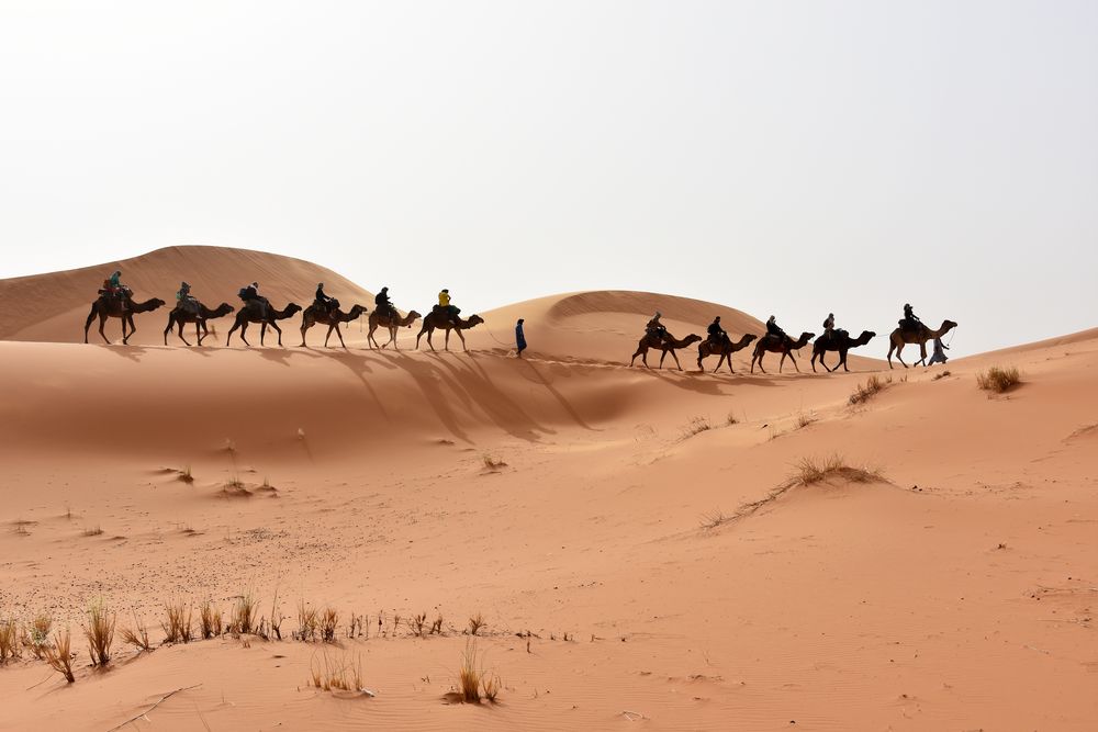 Kameltrekking im Erg Chebbi