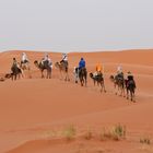 Kameltrekking im Erg Chebbi 