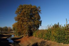 Kamen-Heeren, am Mühlbach.