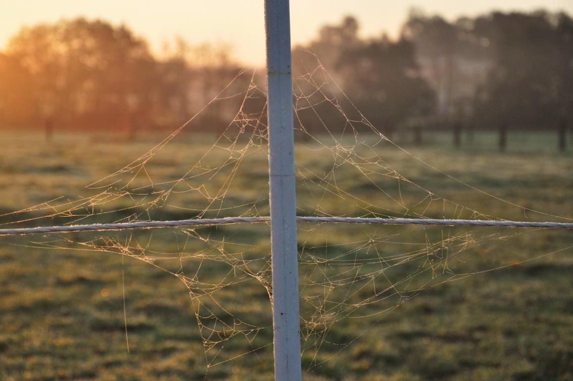 +Kamener Kreuz + Web-Version