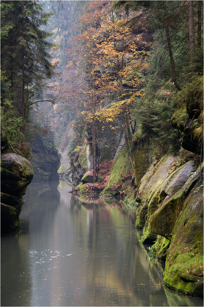 Kamenice