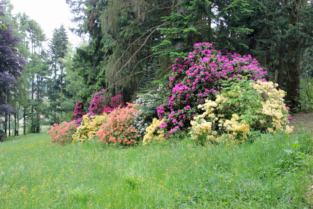 Kamenz, LK Bautzen / Sa Auf dem Hutberg Foto &amp; Bild