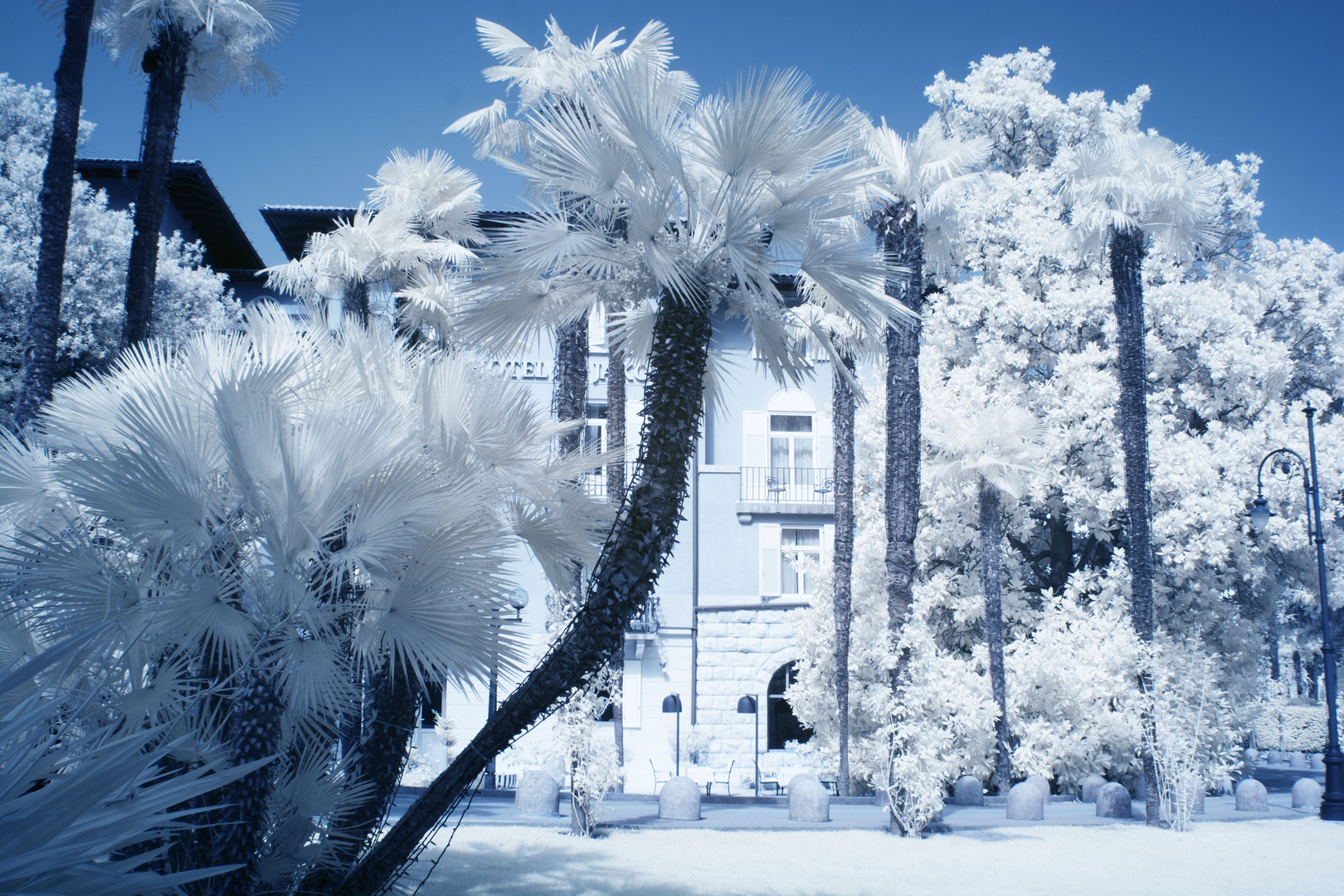 Kamera mit eingebauten IR Filter 700nm