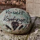 Kamfvogel