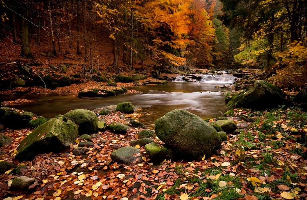 Kamienna River