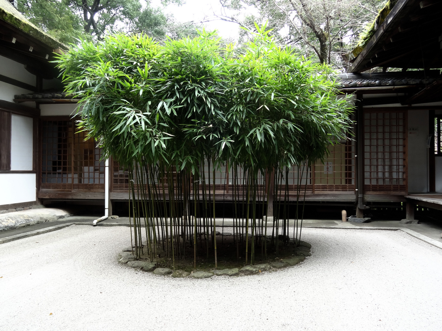 Kamigamo Shrine, Kyoto