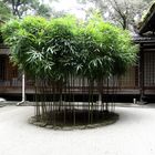 Kamigamo Shrine, Kyoto