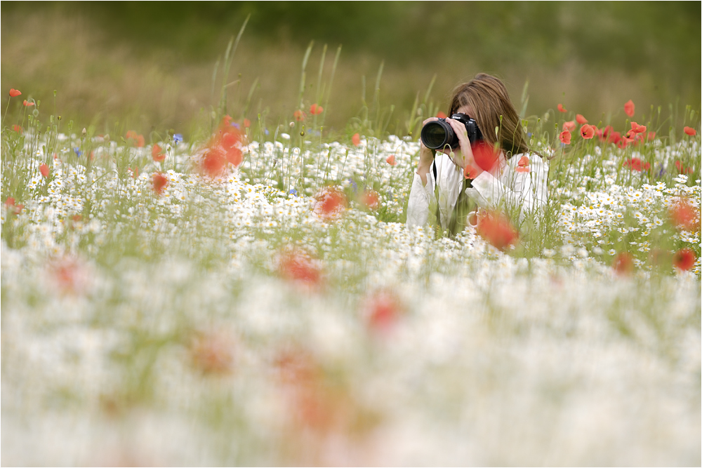 Kamillenbad mit Mohn [2]