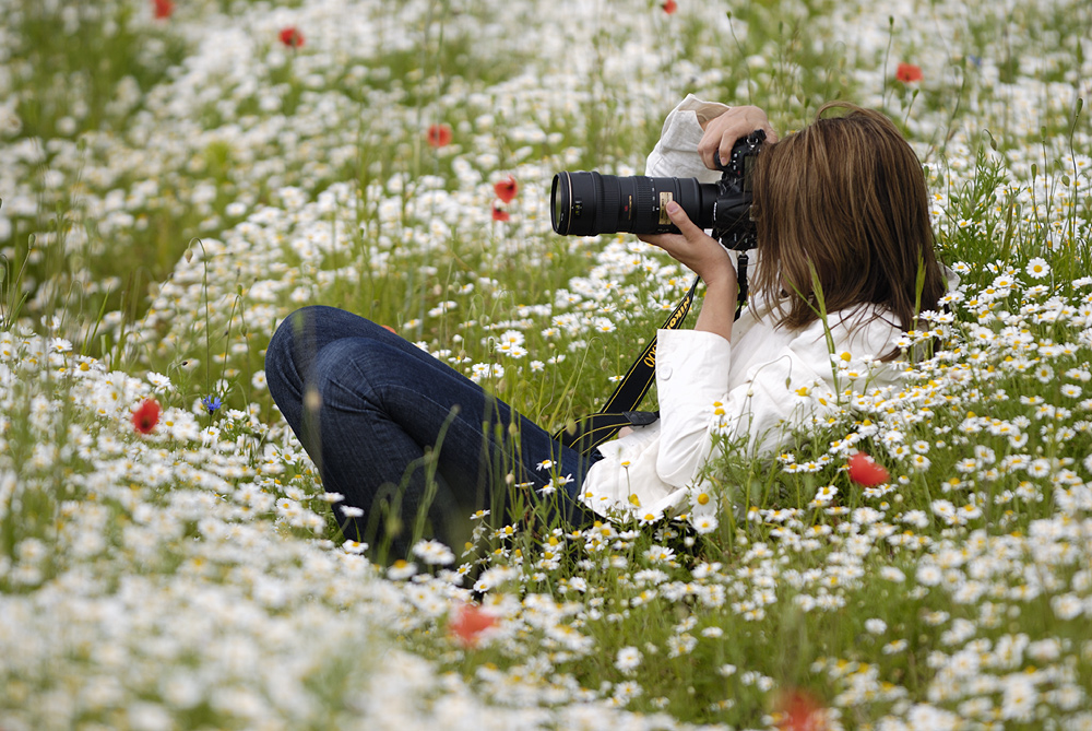 Kamillenbad mit Mohn