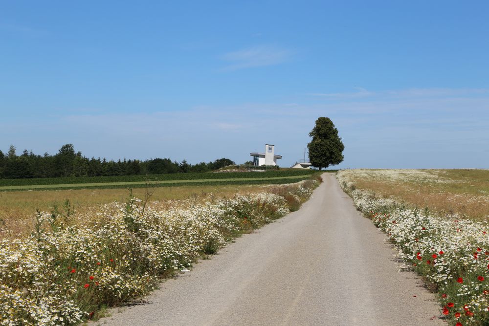 Kamillenweg zur Christophorus-Kapelle