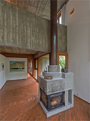 kaminzimmer ohne fisch