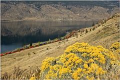 Kamloops Lake