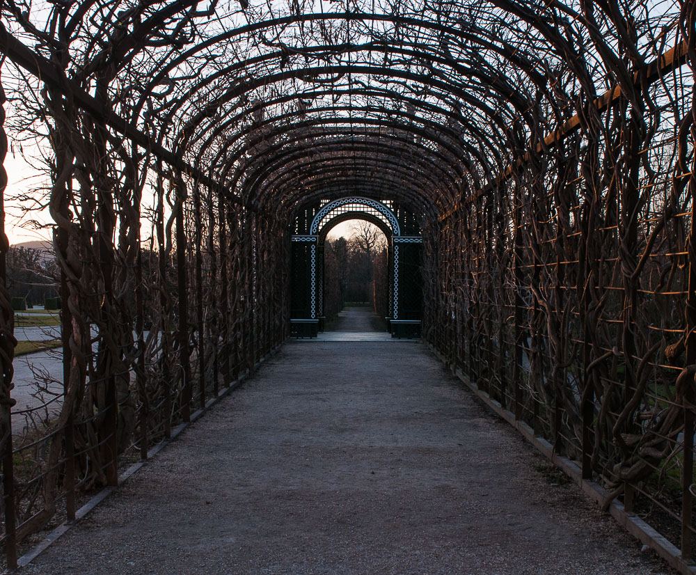 Kammergarten II /Schönbrunn mit Pavillion