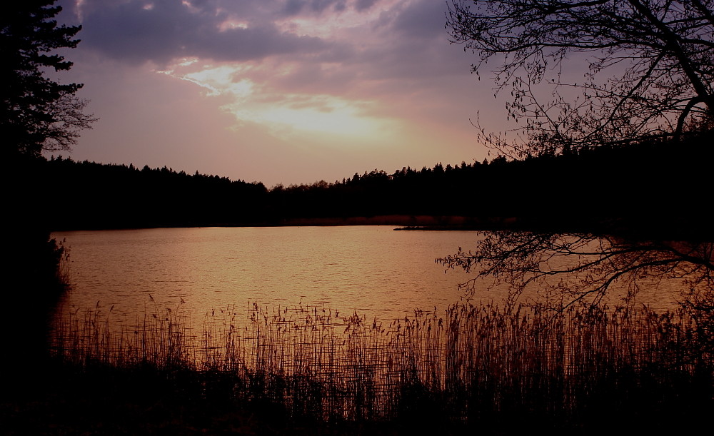 Kammerweiher, der Tag geht zu Ende