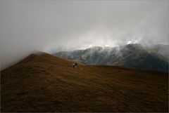 Kammwandern im Fagaras