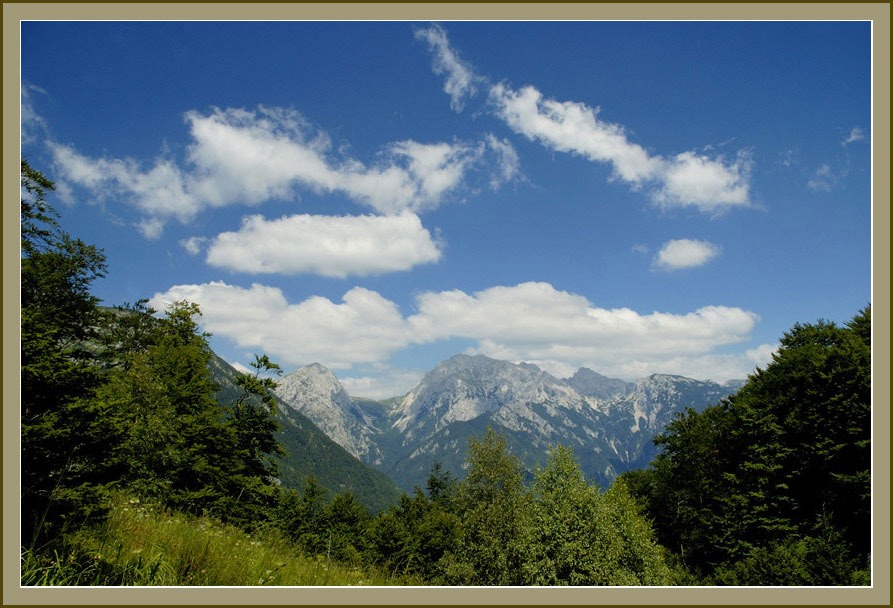 Kamniške planine