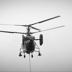 Kamov s/w