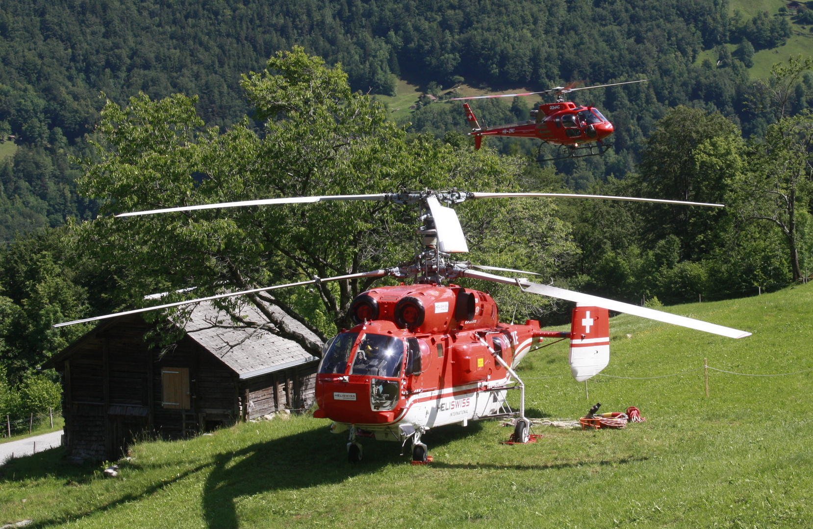 Kamov und Ecureuil