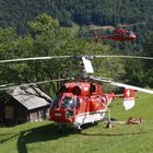 Kamov und Ecureuil