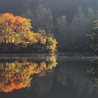 Kamp 2018 001a Herbst Kopie