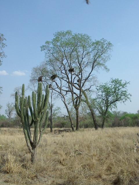 Kamp beim Parque Amistad