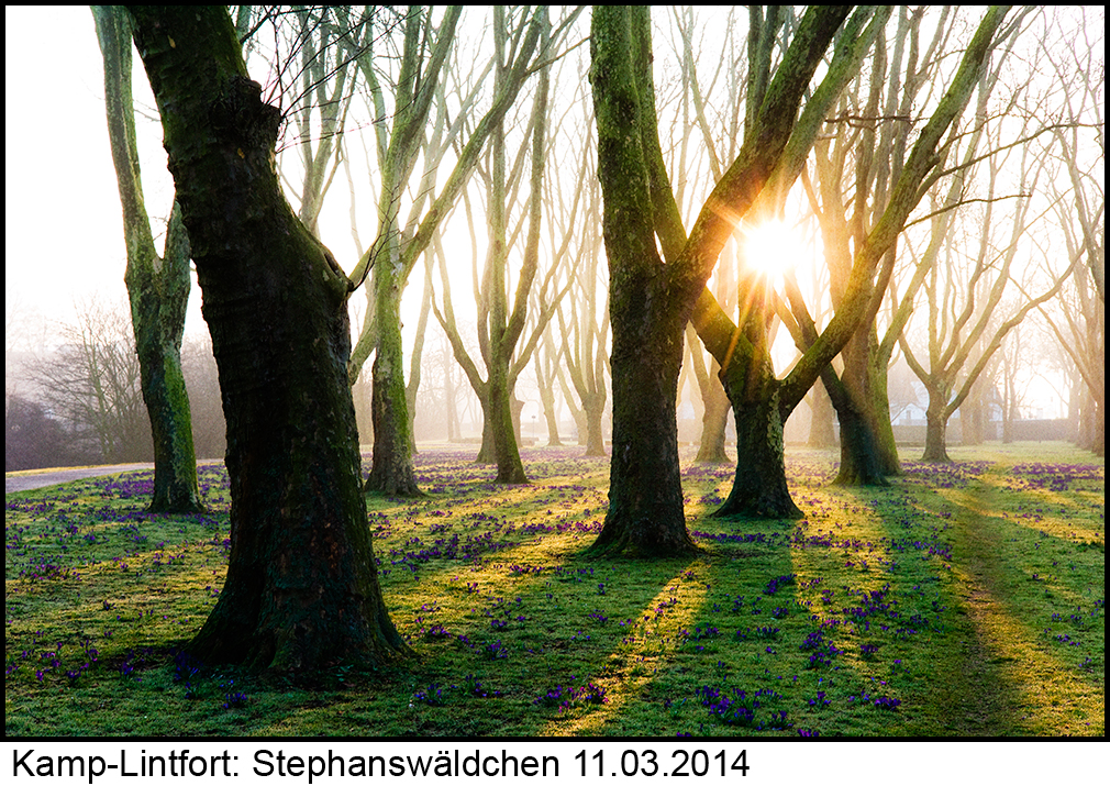 Kamp-Lintfort Stephanswäldchen