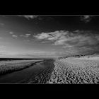 kampen beach black & white