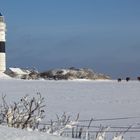 Kampen Leuchtturm mit Pferden