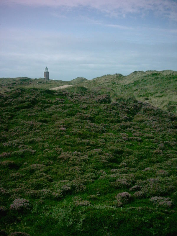 Kampener Heide