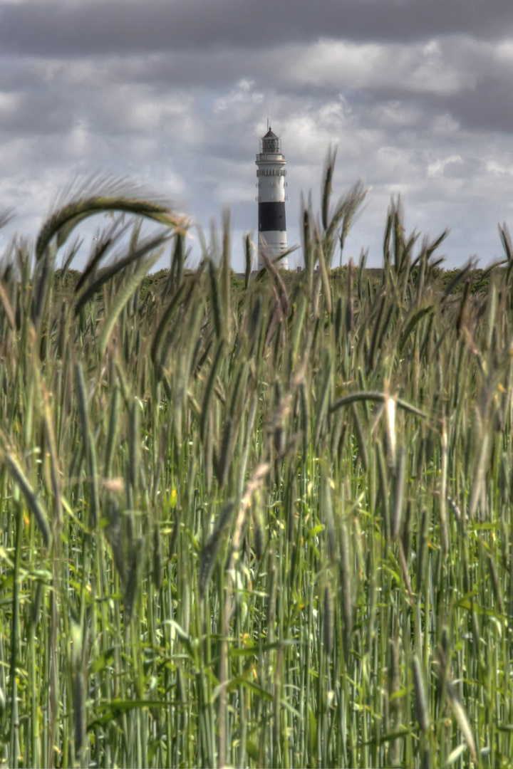 Kampener Leuchtturm