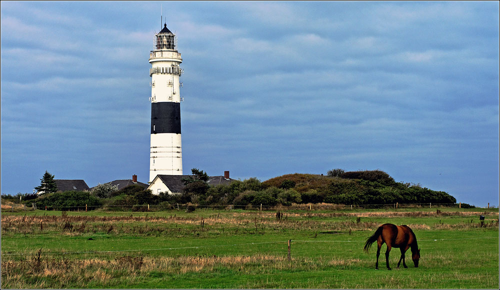 Kampen/Sylt (2)