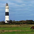 Kampen/Sylt (2)