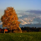 Kampenwand im Chiemgau