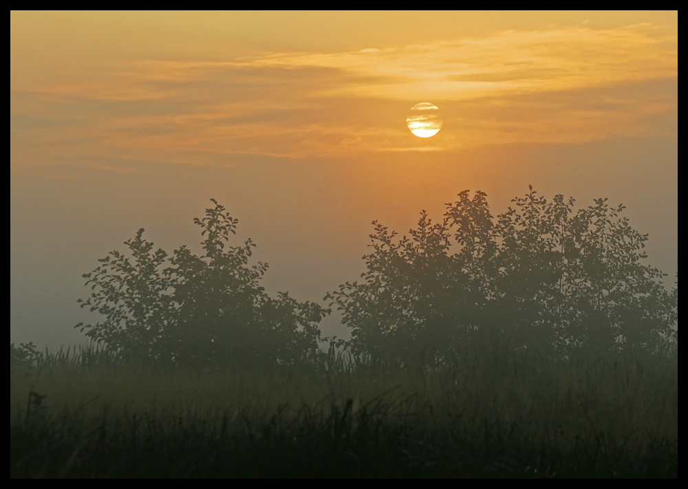 Kampf dem Nebel