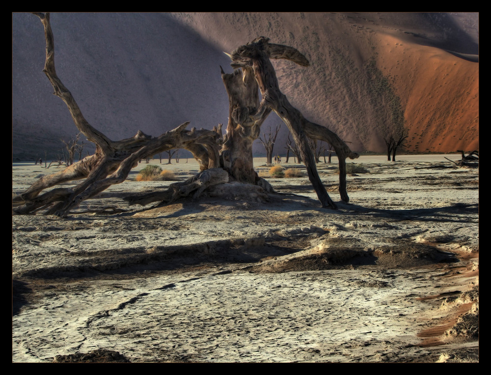 Kampf der Baum-Saurier HDR