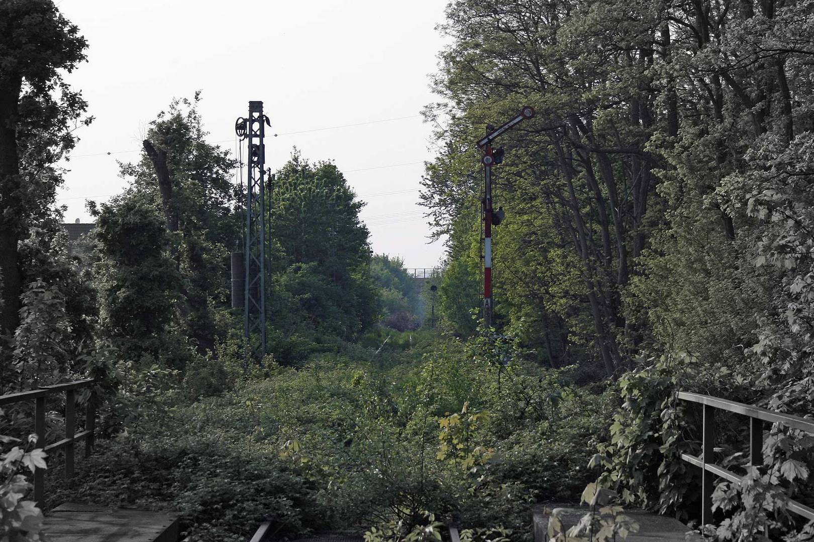 Kampf der Natur oder allzeit HP1