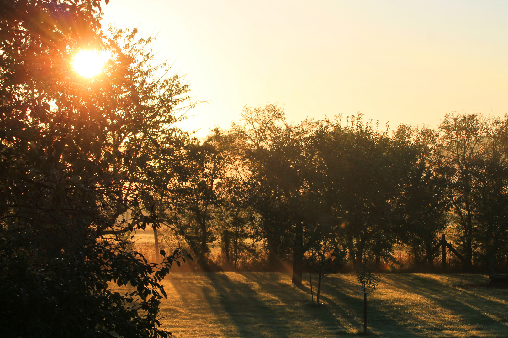 Kampf der Sonne durch den Nebel