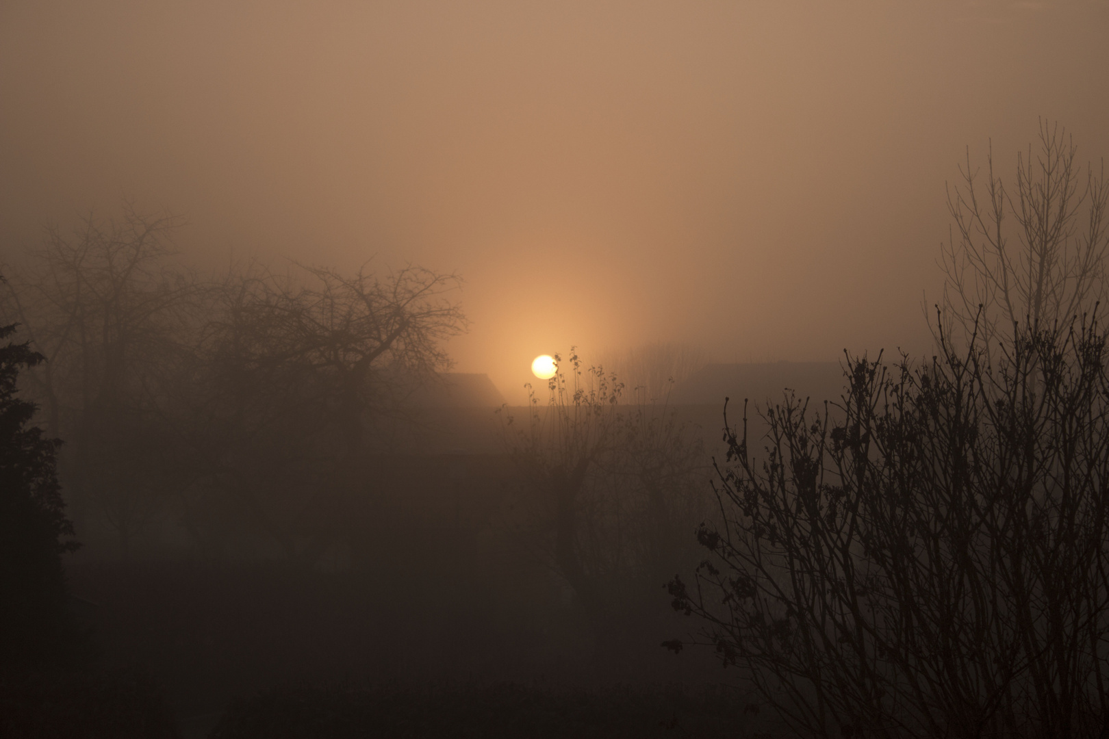 Kampf der Sonne