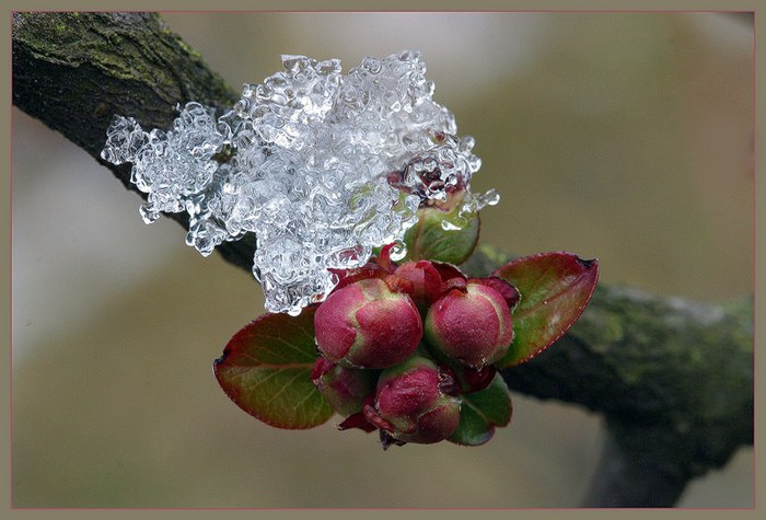 Kampf des Winters mit dem Frühling II