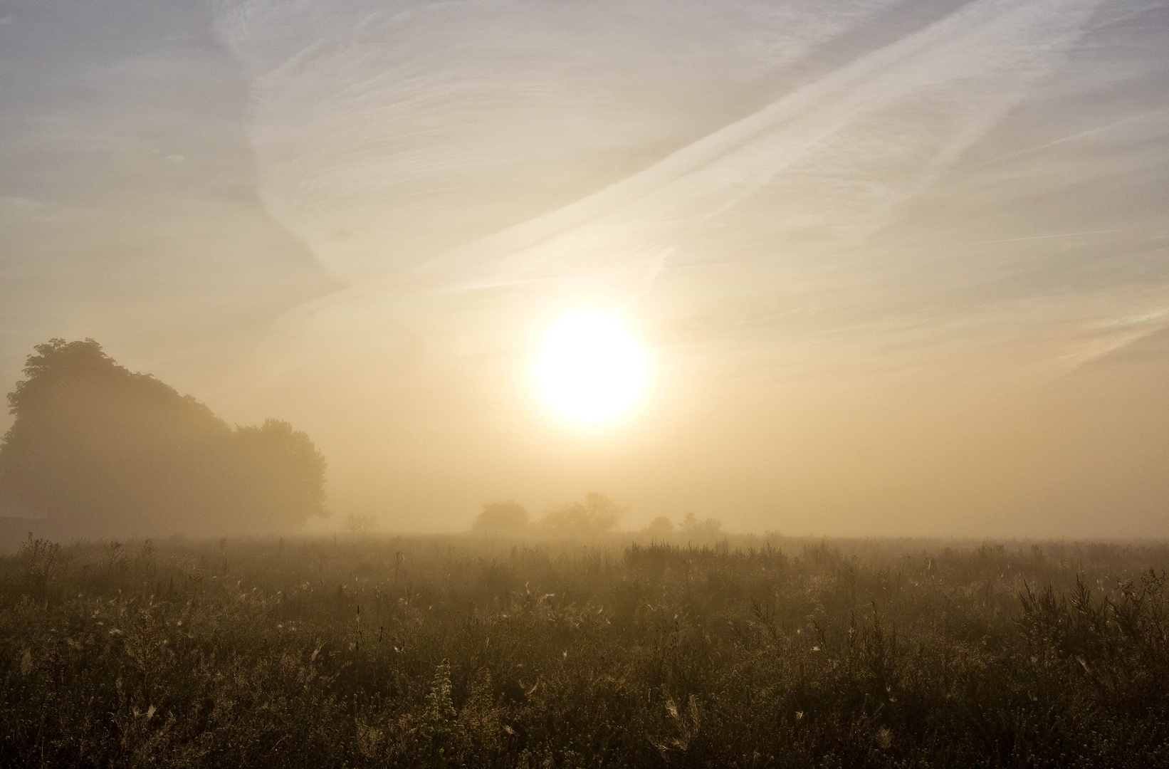 Kampf gegen den Nebel