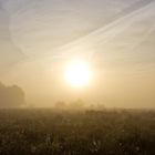 Kampf gegen den Nebel